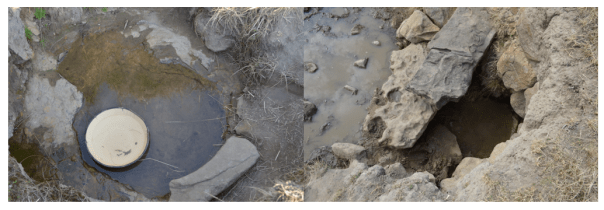 Screen Shot 2016-06-22 at 9.47.52 AM